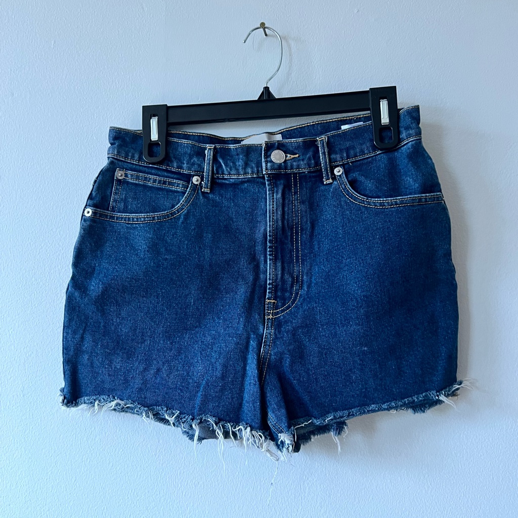 Everlane The Way High Denim Short